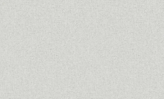 60192-02 Обои виниловые Erismann Bolero 60192-02 10,05 x 1,06 м