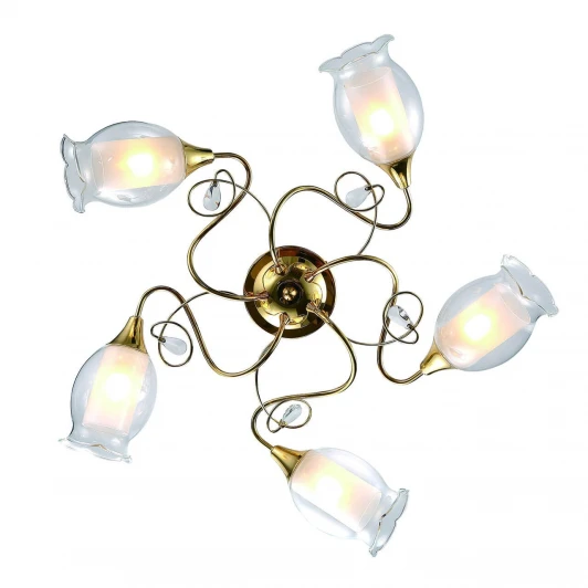 A9289PL-5GO Потолочная люстра Arte Lamp Mughetto A9289PL-5GO
