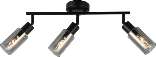10172/3A Chrome Настенно-потолочный спот на штанге Escada Sector 10172/3A Chrome 3x40Вт E14, металл/стекло, черный/дымчатый (220V)