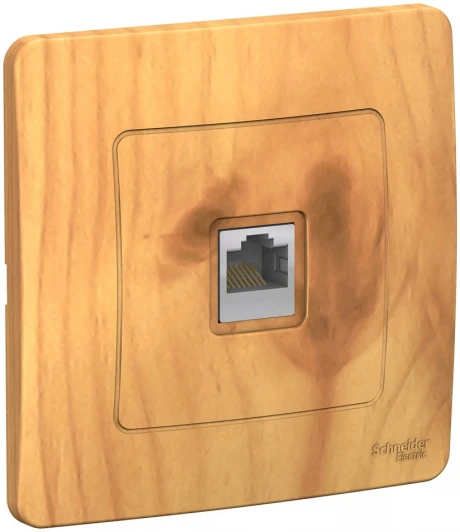 BLNIS045005 Розетка встраиваемая Ethernet RJ-45 (ясень) Systeme Electric Blanca BLNIS045005