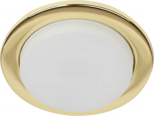 KL70 GD /1 Встраиваемый точечный светильник ЭРА KL70 GD /1 (220V, круглые)