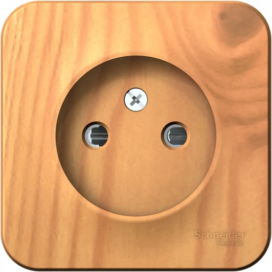 BLNRA001115 Розетка накладная без заземления со шторками (ясень) Systeme Electric Blanca BLNRA001115