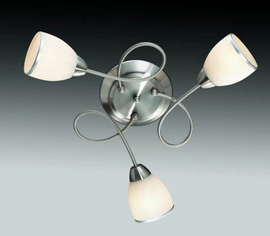 2562/3C Потолочная люстра Odeon Light Foko 2562/3C