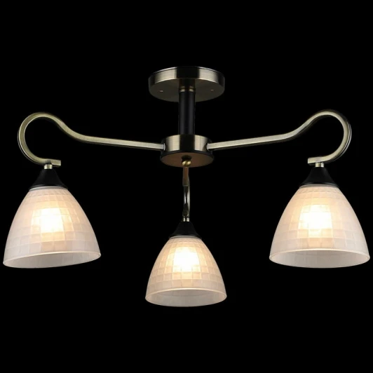 03751-0.3-03 Потолочная люстра на штанге Reluce 03751-0.3-03 (220V)