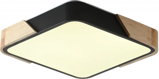 ZRS.01281.24 Потолочный светильник Zortes Alberro ZRS.01281.24 (LED, 220V)