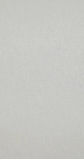 BN 17120 Рулонные обои Van Gogh 17120