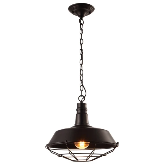 A9183SP-1BK Подвесной светильник Arte Lamp Pandora A9183SP-1BK (220V, на цепи, круглые)