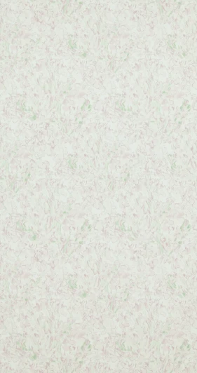 BN 17152 Рулонные обои BN International BN 17152