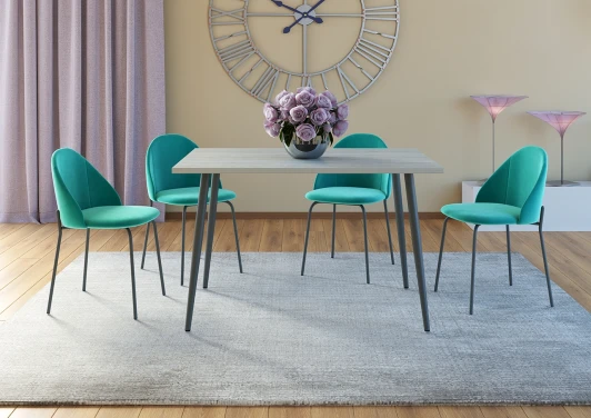 101358 Обеденная группа Браун /Монти серый/мятный, Дебют