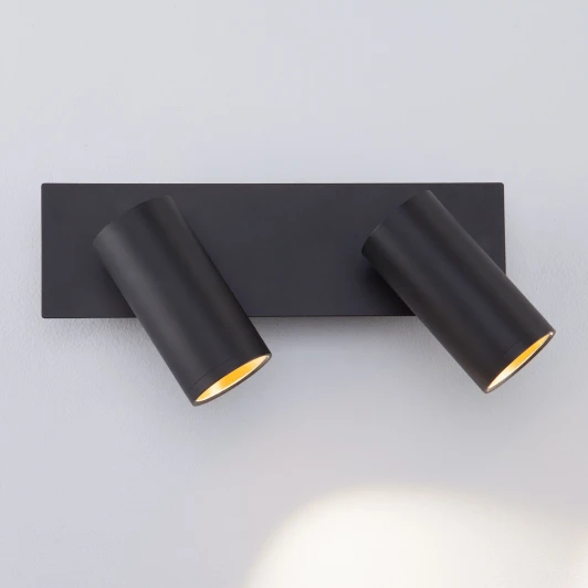 20066/2 LED черный / золото Спот Eurosvet Fleur 20066/2 LED черный/золото