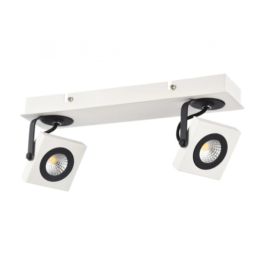 SP162-CW-02-W Спот Maytoni Magnetar 2 SP162-CW-02-W