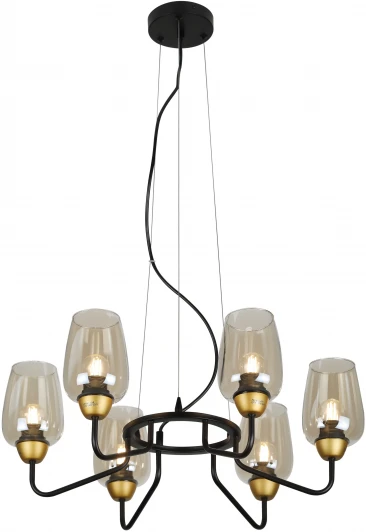 4065-206 Подвесная люстра Rivoli Gera 4065-206