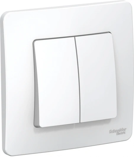 BLNVS010501 Выключатель встраиваемый двухклавишный (белый) Systeme Electric Blanca BLNVS010501