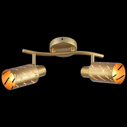 05970-0.8-02 GOLD Спот на штанге Reluce 05970-0.8-02 GOLD (220V)