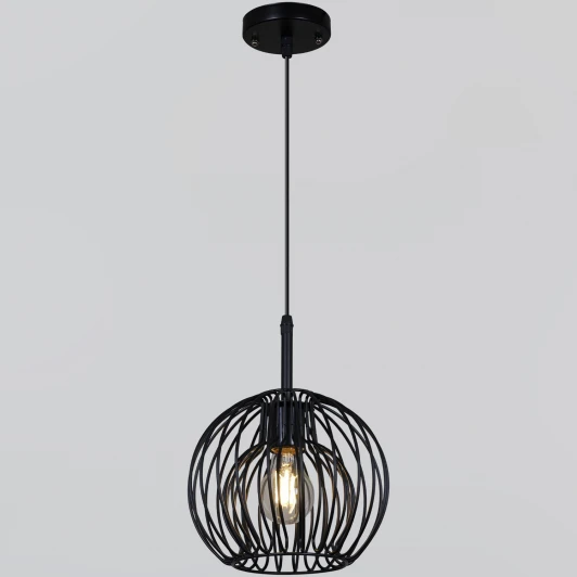 04403-0.9-01 BK Подвесной светильник Reluce 04403-0.9-01 BK (220V, на проводе)