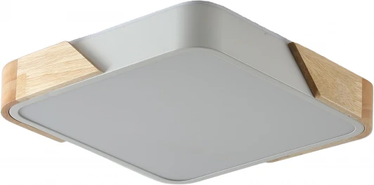 ZRS.01285.48 Потолочный светильник Zortes Alberro ZRS.01285.48 (LED, 220V)