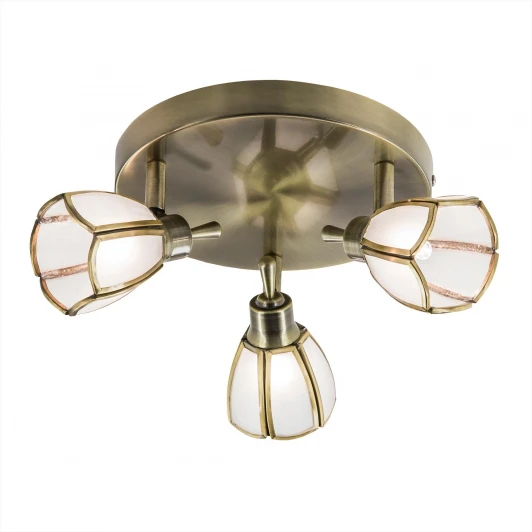 CL522531 Спот Citilux Альтен CL522531