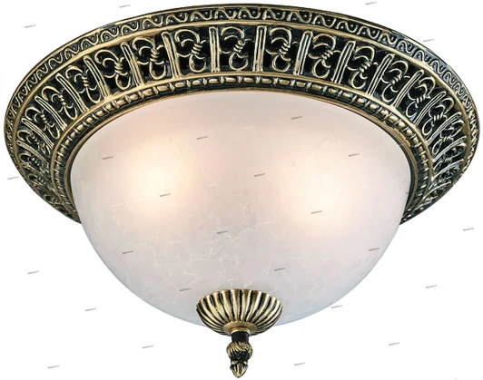 005/3PL Myone 005 005/3PL