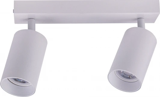 BR08083 Потолочный светильник спот Brizzi Aras BR08083