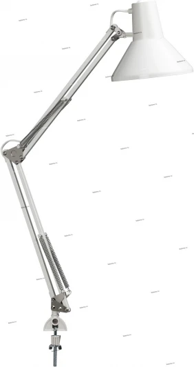 12831-01-31 Massive 12831-01-31