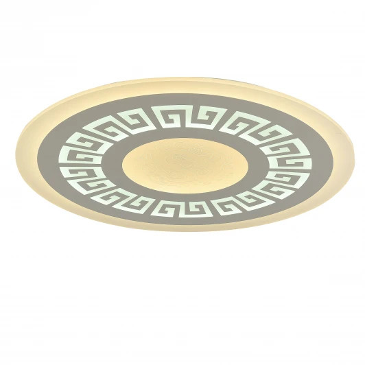 2273-8C Потолочный светильник F-Promo Ledolution 2273-8C