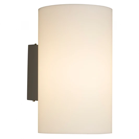 O008WL-01S Настенный светильник уличный Maytoni Camden O008WL-01S