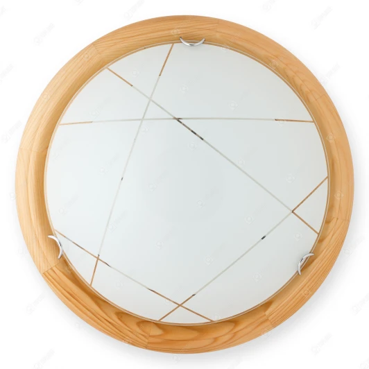 TL9013Y-02PN Настенно-потолочный светильник Toplight Karen TL9013Y-02PN