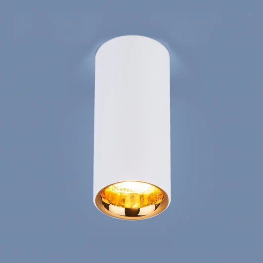 DLR030 12W 4200K белый матовый/золото Накладной точечный светильник Elektrostandard DLR030 12W 4200K белый матовый/золото