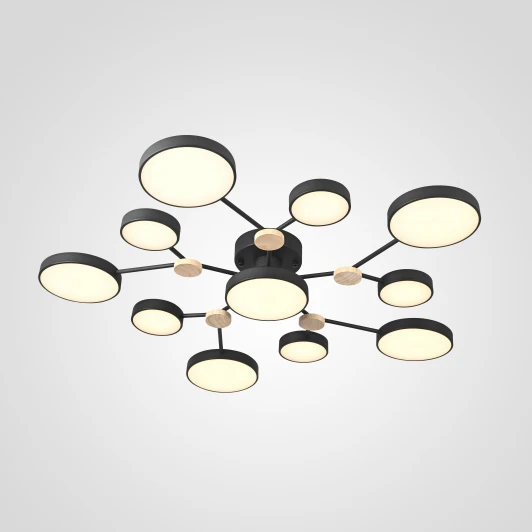 Gamma01 Потолочная люстра на штанге Gamma D102 Black Imperiumloft Gamma01 (223770-23) (LED, 220V, пульт управления, круглые)