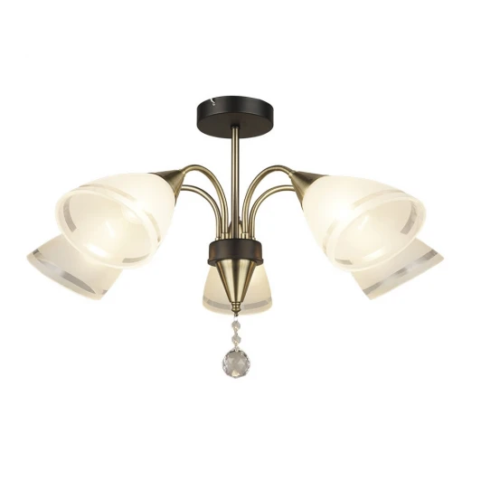 66612.01.37.05 Потолочная люстра Wedo Light Eliena 66612.01.37.05