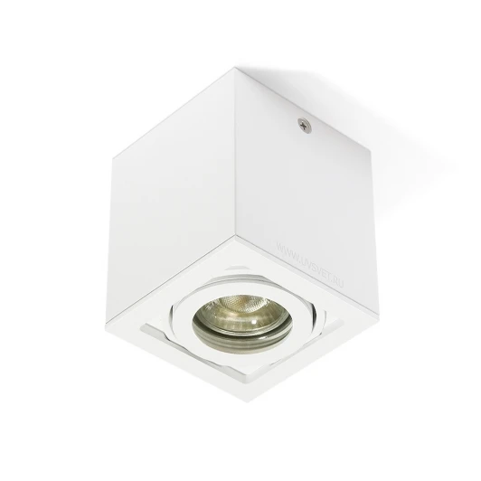 Ox13AcWh Накладной светильник White RAUMBERG Ox Ox13AcWh (220V)