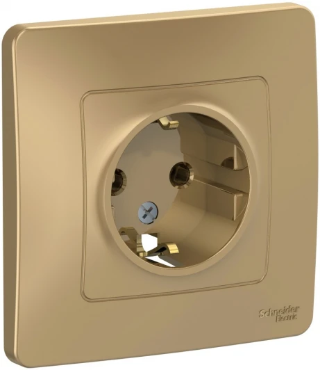BLNRS001014 Розетка встраиваемая с заземлением (титан) Systeme Electric Blanca BLNRS001014