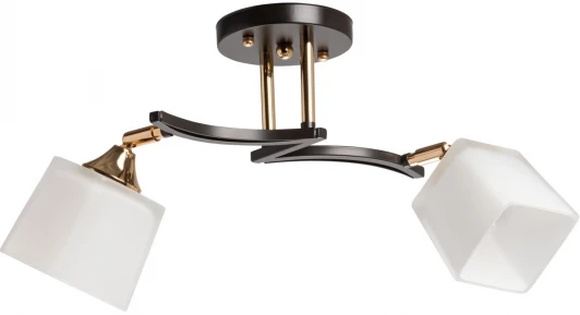 673018202 Потолочная люстра на штанге De City Тетро 673018202