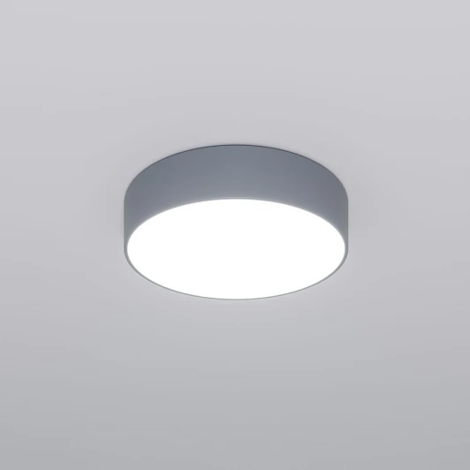 90318/1 серый Потолочный светильник Eurosvet Entire 90318/1 серый