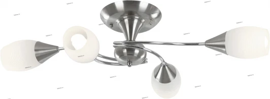 54909-4D Globo mint 54909-4D