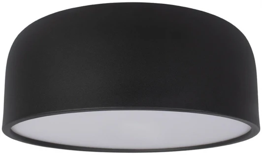 10201/350 Black Потолочный светильник Axel 10201/350 Black Loft It
