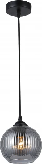 9319-201 Подвесной светильник Rivoli Sophie 9319-201 (220V, на проводе)