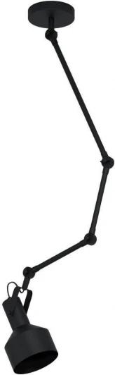 43561 Спот на штанге Eglo Takeley 43561