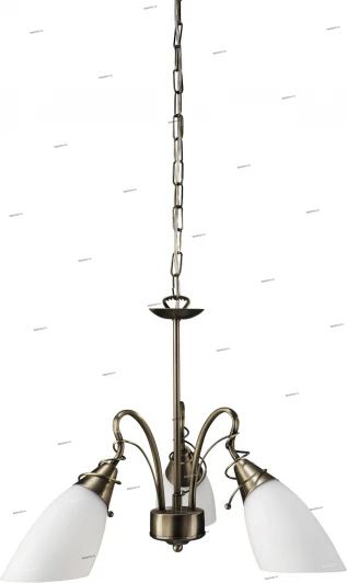 37720-06-10 Massive Egmo 37720-06-10