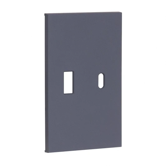 AL12C USB+type С, накладка 2-ух модульная графит матовый Meiton AL12C