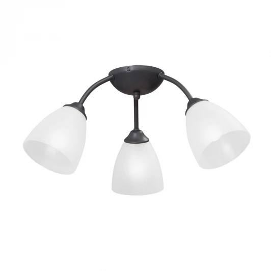 V3737-2/3PL Потолочная люстра Vitaluce V3737-2/3PL