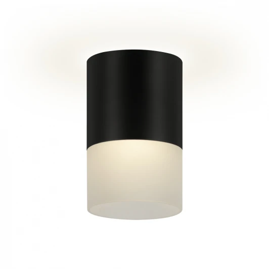 52062 7 Накладной светильник Ritter Essen 52062 7