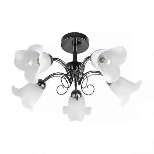TL3490X-05BC Потолочная люстра Toplight Magdalene TL3490X-05BC
