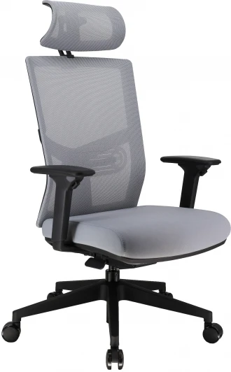 EP Fuji M Grey Эргономичное кресло Everprof Fuji Сетка Серый