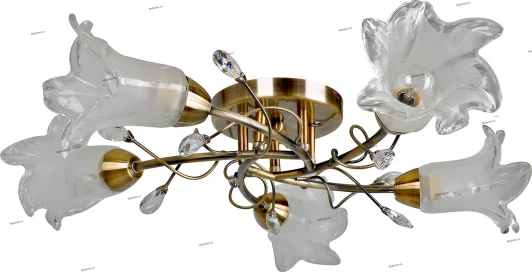 031/5PL Myone 031 031/5PL