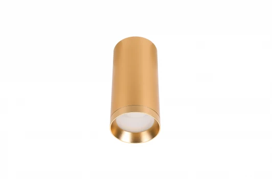 LTP-C005-01GU10-G Накладной светильник Lucia Tucci LTP LTP-C005-01GU10-G