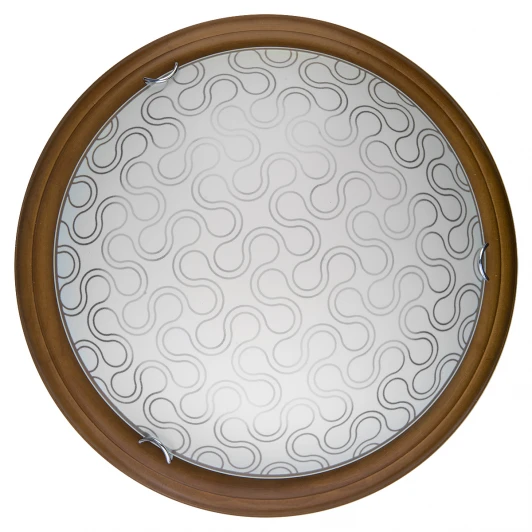 TL9520Y-00OA Настенно-потолочный светильник Toplight Christina TL9520Y-00OA