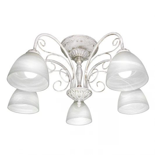 S9206-5 Потолочная люстра Day&Night S9206-5