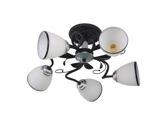 1520/5C Потолочная люстра J-Light Gera 1520/5C