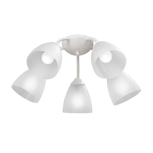 V3737-0/5PL Потолочная люстра Vitaluce V3737-0/5PL